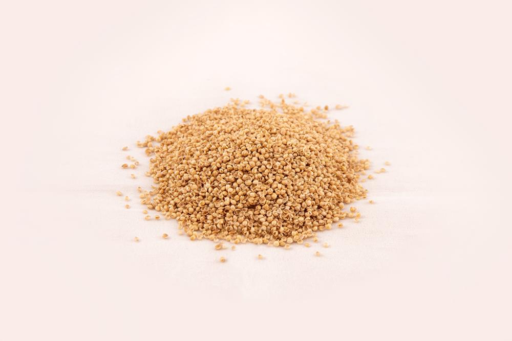 Nachfüllbeutel Hirsespelz 1000 g