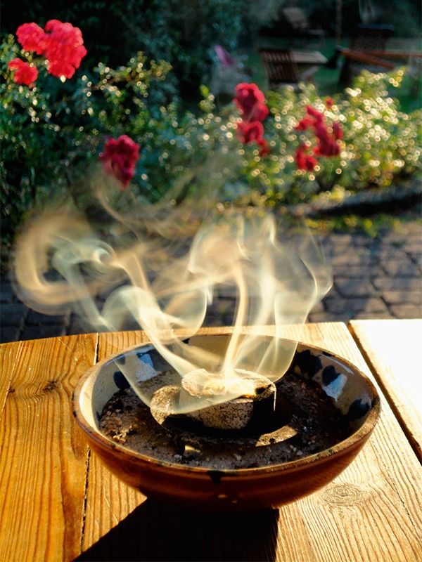 Carbone per incenso e shisha
